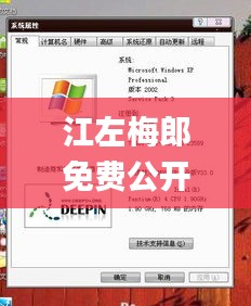 江左梅郎免费公开资料一,高速响应计划执行_装饰版SME7.93
