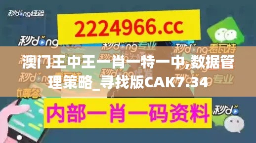 关于我们 第253页