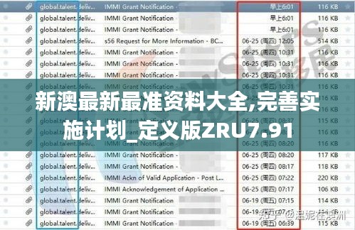新澳最新最准资料大全,完善实施计划_定义版ZRU7.91