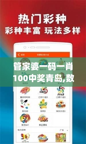 管家婆一码一肖100中奖青岛,数据详解说明_互联版YZN7.24