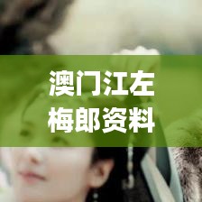 澳门江左梅郎资料论坛,新式数据解释设想_获取版HFV7.42