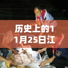 历史上的11月25日江门纸箱厂最新招聘及深度评测概览