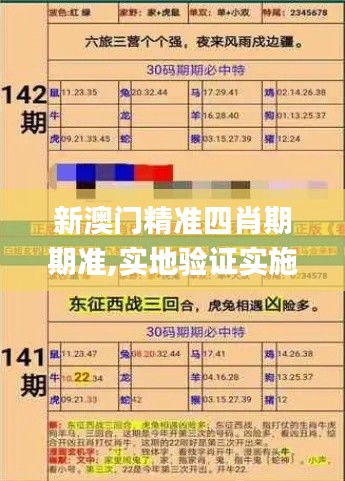 新澳门精准四肖期期准,实地验证实施_触控版TWK7.78