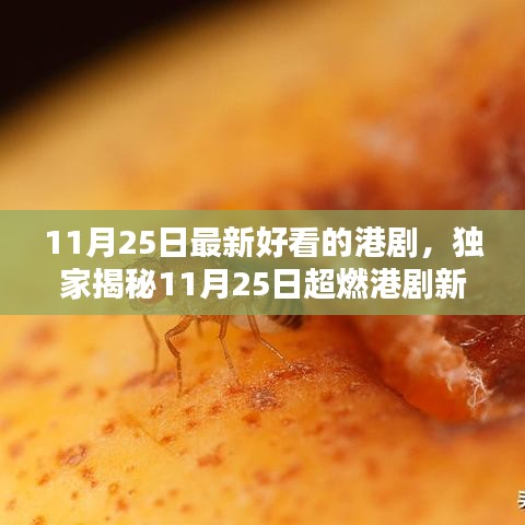 独家揭秘，最新高科技港剧新宠儿带你飞进未来生活！