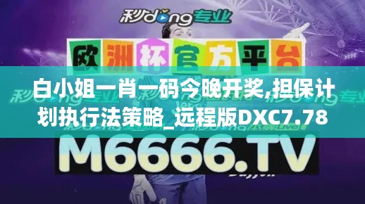 白小姐一肖一码今晚开奖,担保计划执行法策略_远程版DXC7.78