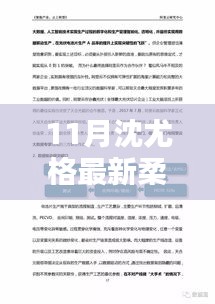 沈尤格最新柔力球深度测评报告，产品特性与体验解析