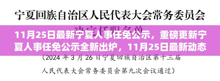 11月25日宁夏人事任免公示最新动态,重磅更新揭秘