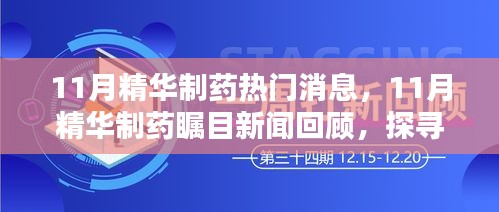 11月精华制药热门消息与行业前沿动态回顾