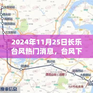 台风下的长乐记忆，风雨友情与温馨日常