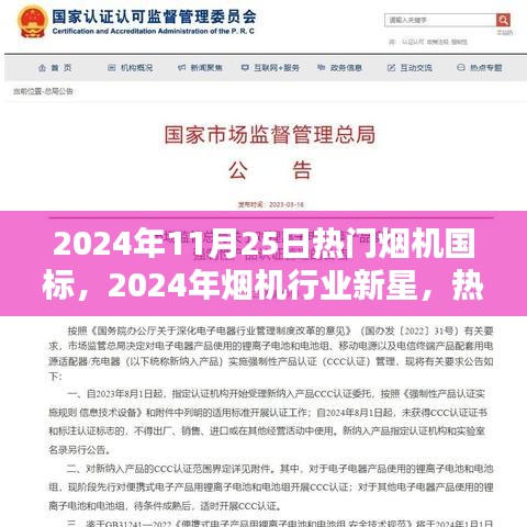 2024年11月25日热门烟机国标，2024年烟机行业新星，热门烟机国标产品评测报告