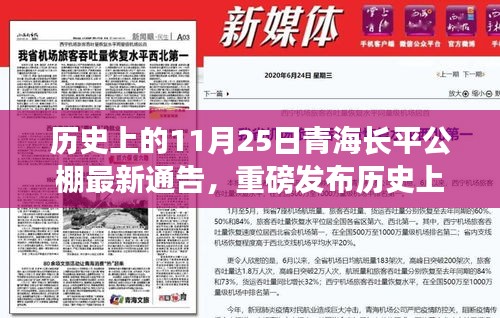 青海长平公棚革新之作,前沿科技重塑生活的历史11月25日通告发布