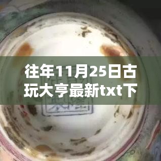 往年11月25日古玩大亨深度解析与最新txt下载全攻略