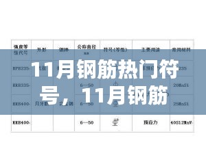 11月钢筋热门符号深度解析与探讨
