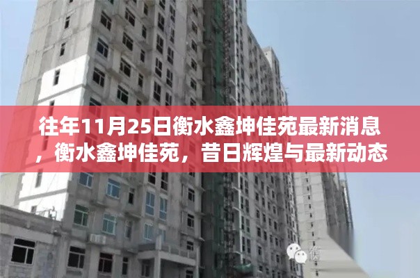 衡水鑫坤佳苑，昔日辉煌与最新动态的回眸，11月25日最新消息速递
