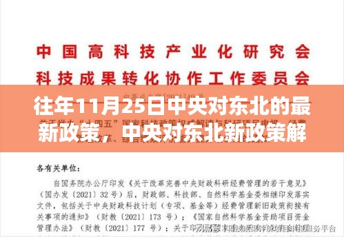 中央对东北新政策解读，深度分析与个人观点分享，展望未来发展之路