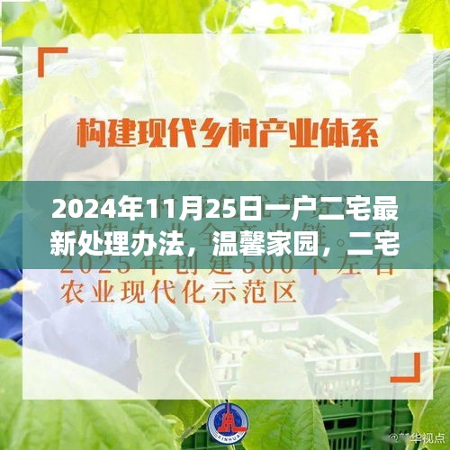 2024年二宅新处理办法，温馨家园的持久约定