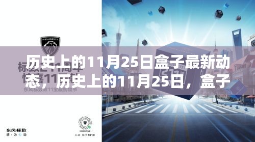 历史上的11月25日盒子科技动态与创新里程碑回顾