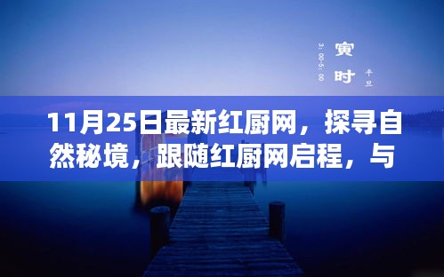 探寻自然秘境，红厨网启程之旅，心灵与自然共舞