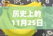 惨淡经营 第3页