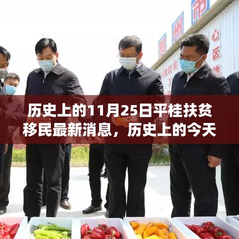 历史上的今天,平桂扶贫移民最新进展及其深远影响