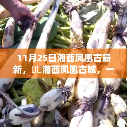 湘西凤凰古城秋日秘境之旅，探寻自然美景中的心灵宁静