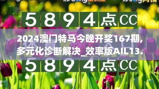 2024澳门特马今晚开奖167期,多元化诊断解决_效率版AIL13.99