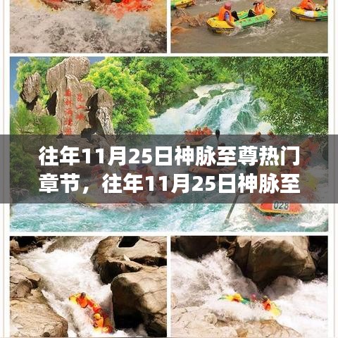 往年11月25日神脉至尊热门章节及其深度解析