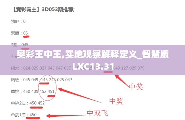 奥彩王中王,实地观察解释定义_智慧版LXC13.31