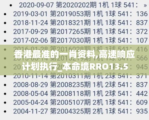 香港最准的一肖资料,高速响应计划执行_本命境RRO13.5