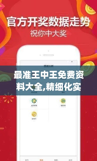 最准王中王免费资料大全,精细化实施分析_活力版RZO13.94