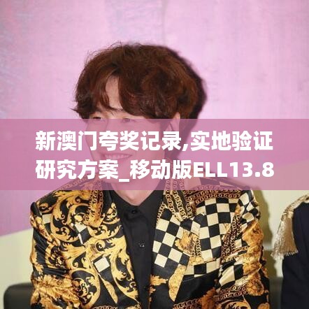 新澳门夸奖记录,实地验证研究方案_移动版ELL13.86