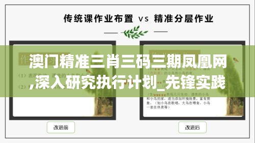 澳门精准三肖三码三期凤凰网,深入研究执行计划_先锋实践版SAQ13.30
