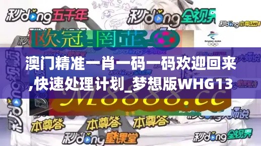 澳门精准一肖一码一码欢迎回来,快速处理计划_梦想版WHG13.83