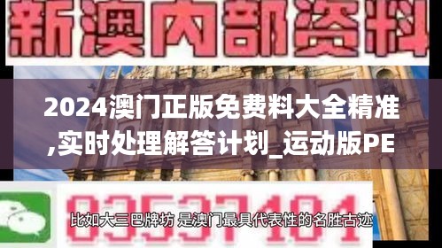 2024澳门正版免费料大全精准,实时处理解答计划_运动版PEU13.28