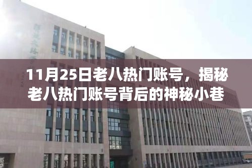 揭秘老八热门账号背后的神秘小巷，独家探秘美食天堂之旅