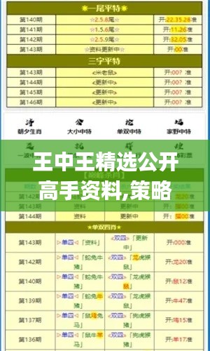 王中王精选公开高手资料,策略调整改进_高级版OWV13.45
