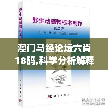 澳门马经论坛六肖18码,科学分析解释说明_万能版TDF13.78