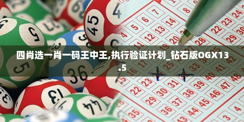 四肖选一肖一码王中王,执行验证计划_钻石版OGX13.5