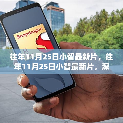 往年11月25日小智最新片深度评测与介绍独家呈现