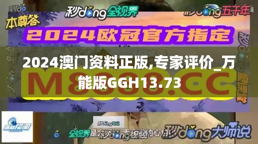 2024澳门资料正版,专家评价_万能版GGH13.73