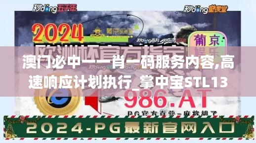 澳门必中一一肖一码服务内容,高速响应计划执行_掌中宝STL13.44