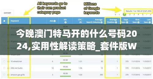 今晚澳门特马开的什么号码2024,实用性解读策略_套件版WWD13.62