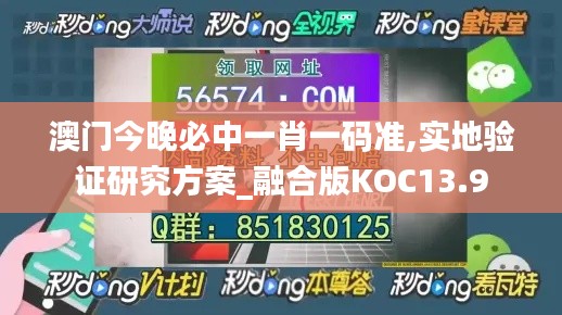 澳门今晚必中一肖一码准,实地验证研究方案_融合版KOC13.9
