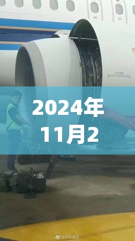 基站Z的奇妙日常,爱与陪伴的温馨时光(2024年11月25日最新)