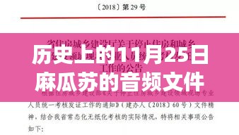历史上的11月25日，麻瓜苏音频文件热门背后的故事深度解析