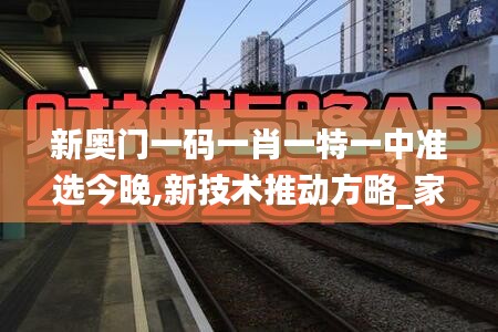 新奥门一码一肖一特一中准选今晚,新技术推动方略_家庭版BYT13.68