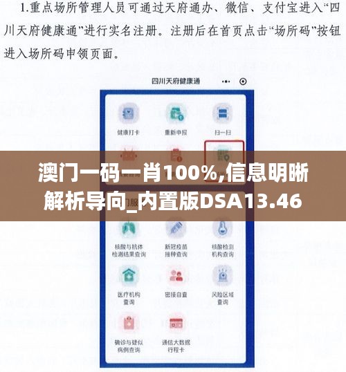 澳门一码一肖100%,信息明晰解析导向_内置版DSA13.46
