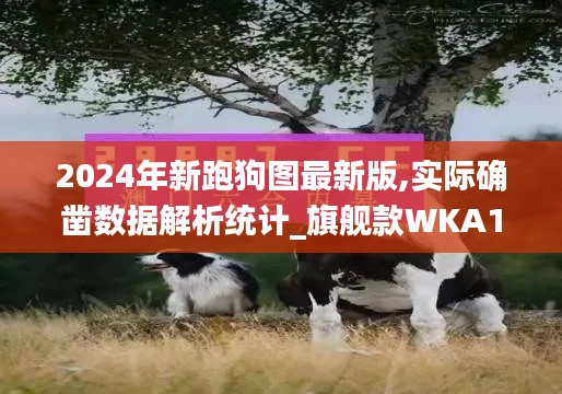2024年新跑狗图最新版,实际确凿数据解析统计_旗舰款WKA13.46