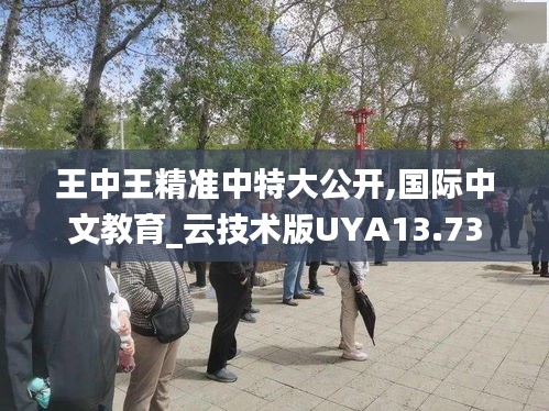 王中王精准中特大公开,国际中文教育_云技术版UYA13.73