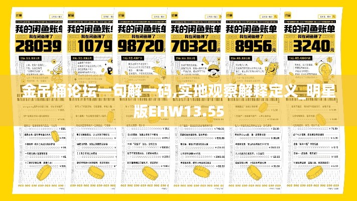 金吊桶论坛一句解一码,实地观察解释定义_明星版EHW13.55